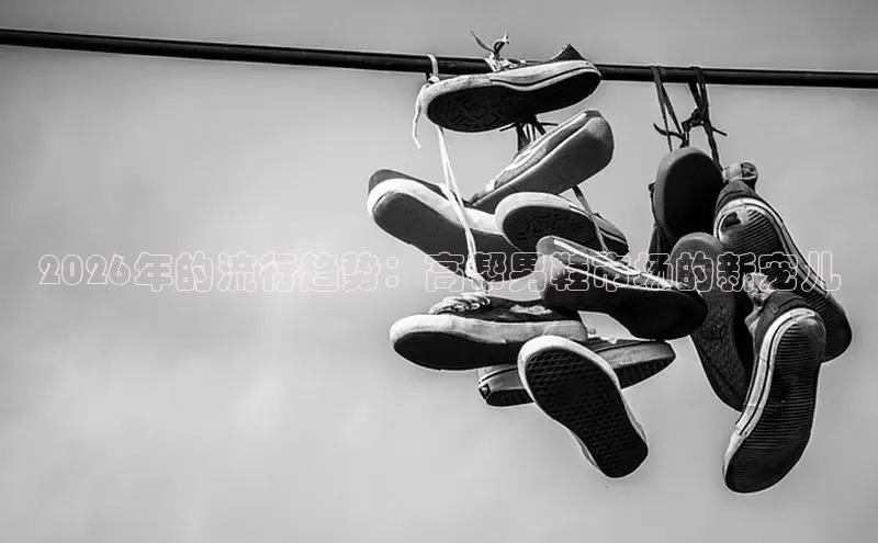 悟空体育